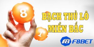Bạch thủ lô Miền Bắc