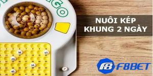 lô kép nuôi khung 2 ngày
